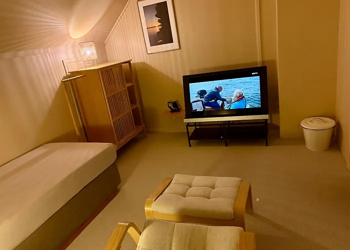 Executive M Tv-stue Naer Google Og Hydro * Porsgrunn